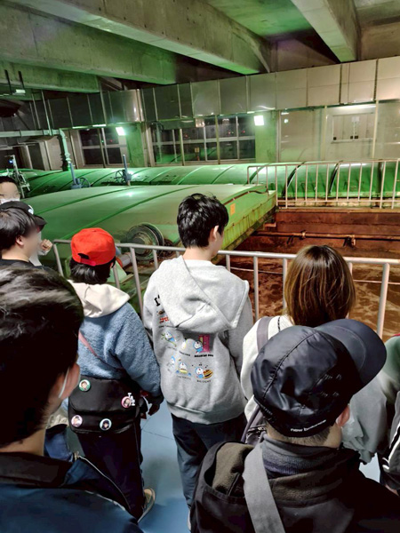 日々のこと写真