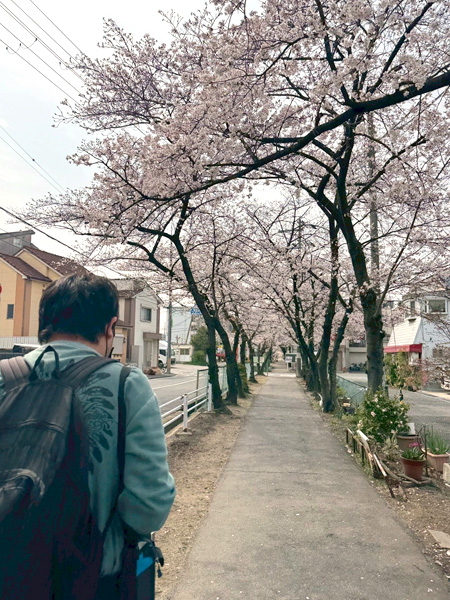 日々のこと写真